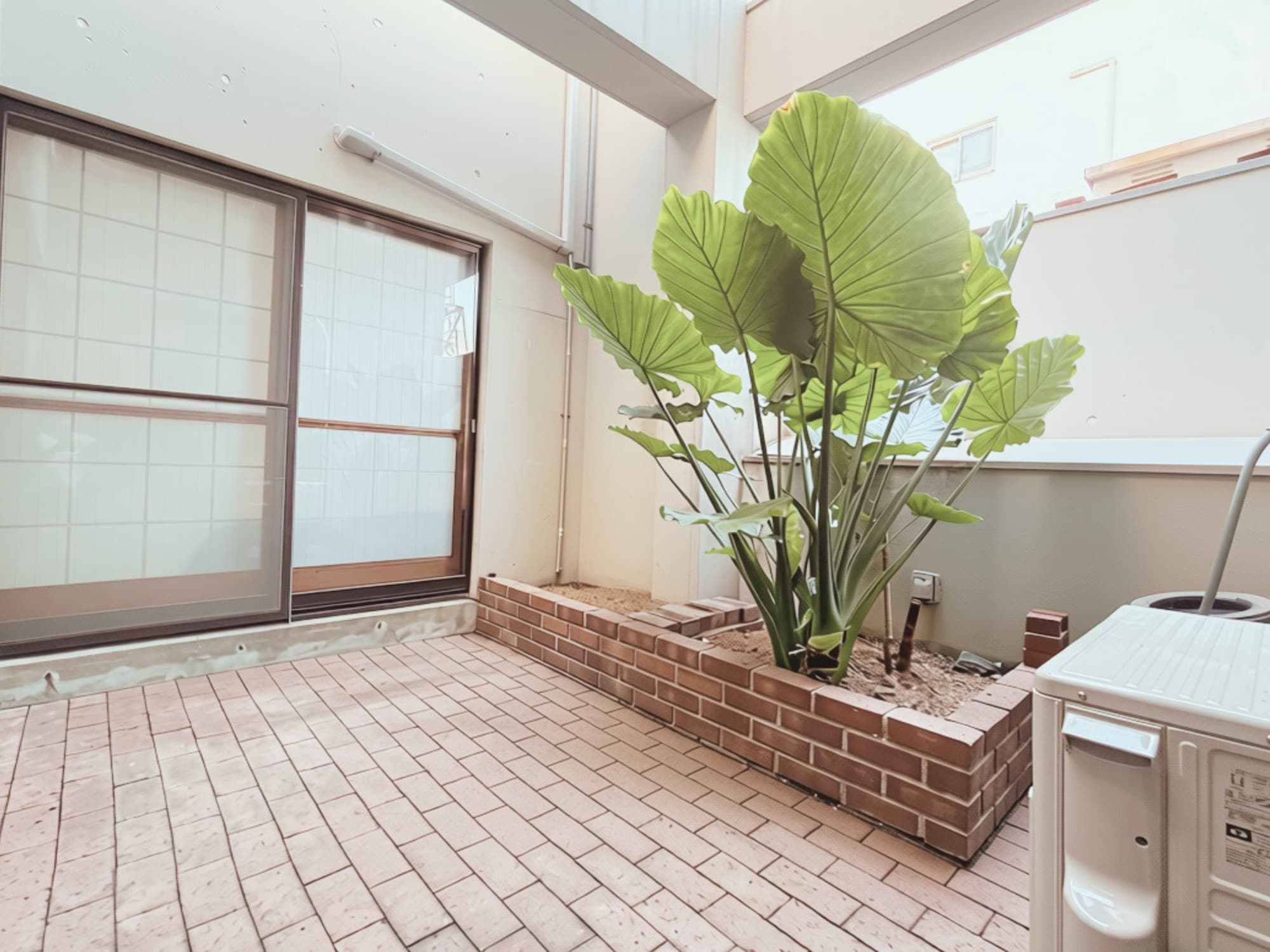 ゲストハウス高松古馬場 中庭